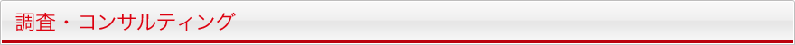 調査・コンサルティング
